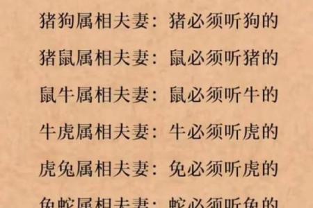 鼠肚鸡肠 是什么生肖 鼠肚鸡肠对应生肖性格解析