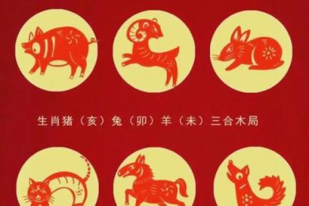 2005年出生属鸡的人在2024年运势如何以及需要注意什么事项