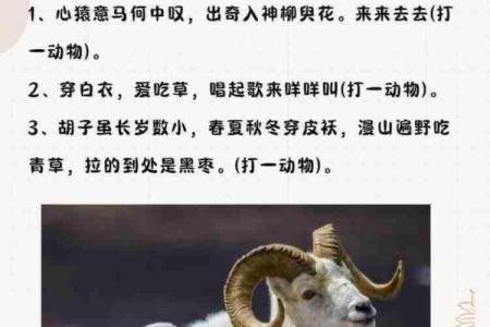 风雨一生桥与路”打一准确动物生肖 桥与路打一生肖动物谜语答案