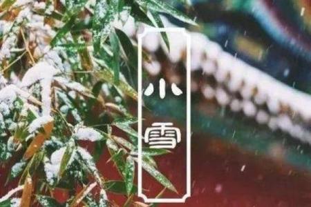 阳春白雪是代表什么生肖？ 阳春白雪对应生肖查询
