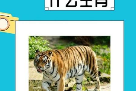 身份不明打一准确动物 身份不明打一动物谜底是什么