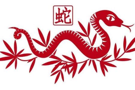 黄花女儿是指哪个生肖 黄花女儿生肖含义解析