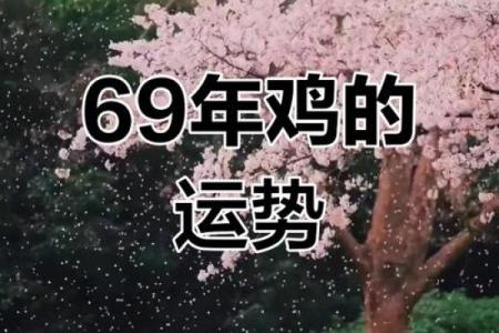 1969年出生属鸡女2025年逐月运势预测与得把眼睛擦亮了