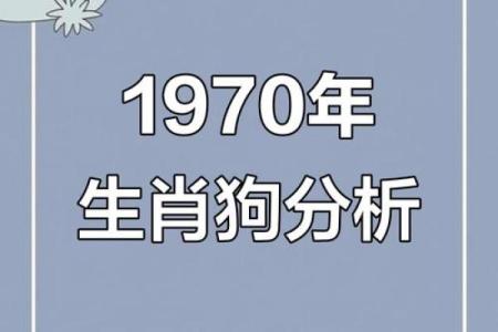 1982年属狗的人一生中最大的劫难会在哪一年发生？