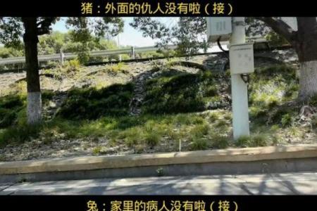 阴险小人是什么生肖 十二生肖里哪个最阴险小人