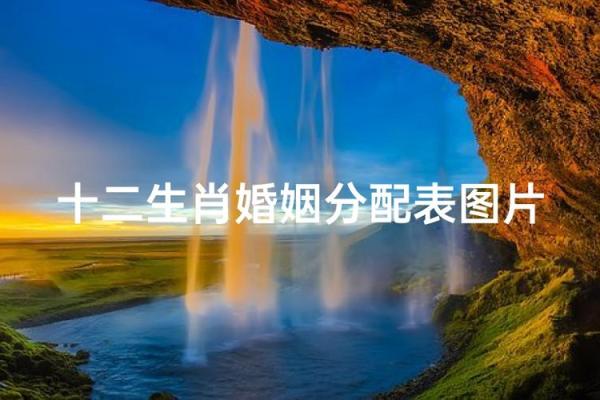 鸡女和狗男的属相婚配是否合适？婚姻幸福指数如何？