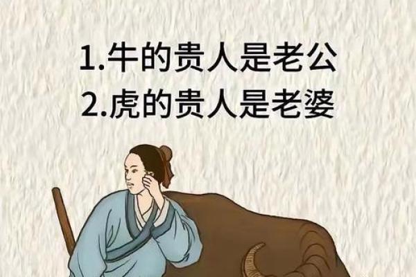 随便来两盘虾”是代表哪个生肖 随便来两盘虾打一生肖是什么