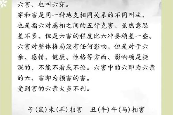 静中思动打一正确生肖 静中思动生肖谜底查询