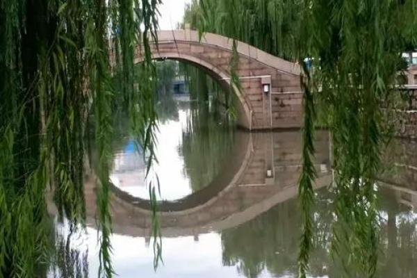 青堂瓦舍打一动物 青堂瓦舍的动物谜底