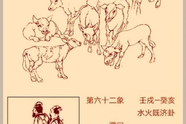震木之象打一生肖 震木之象对应生肖查询