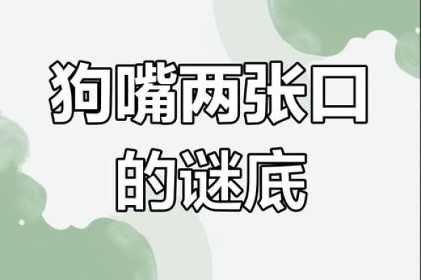 骂狗打鸡猪在笑”打一最佳准确生肖 骂狗打鸡猪在笑谜底生肖是什么