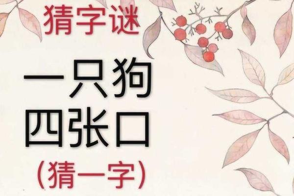 骂狗打鸡猪在笑”打一最佳准确生肖 骂狗打鸡猪在笑谜底生肖是什么
