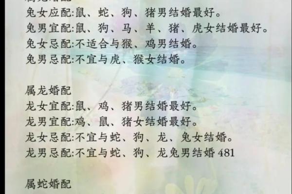 鼠和什么生肖最配 生肖鼠和什么属相结婚好