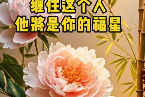 静中思动是什么生肖 静中思动指什么动物