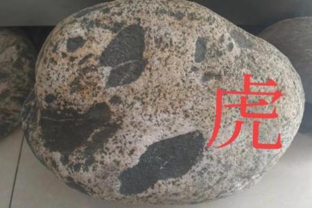 隔岸观火打一准确生肖 生肖谜语隔岸观火解法技巧