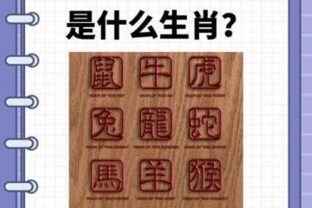 邻鸡惊晓是指什么生肖 邻鸡惊晓生肖查询方法