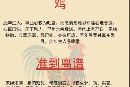 1958年属鸡的人2024年运势和健康运程详解