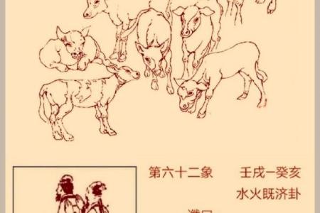 震木之象打一生肖 震木之象对应生肖查询