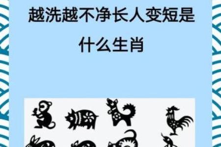 软硬不吃是什么生肖 软硬不吃打一生肖