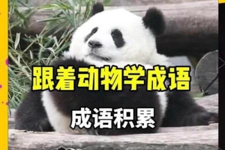 遮天盖地打一动物 形容数量极多的动物成语