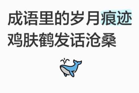 鸡皮鹤发是什么生肖 鸡皮鹤发对应生肖查询