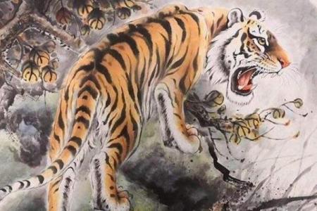 风靡一世打一正确生肖 风靡一世打一生肖答案