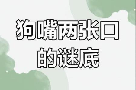 骂狗打鸡猪在笑”打一最佳准确生肖 骂狗打鸡猪在笑谜底生肖是什么