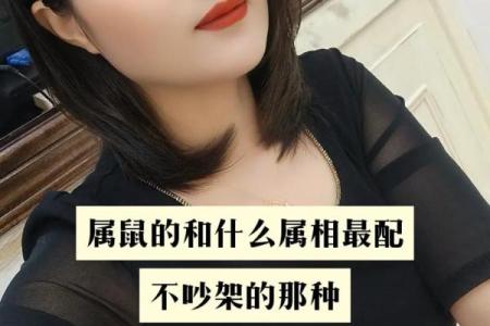 鼠和什么生肖最配 生肖鼠和什么属相结婚好