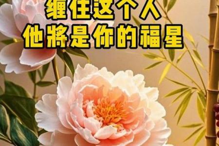 静中思动是什么生肖 静中思动指什么动物