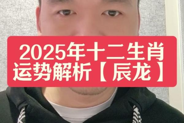 属龙2025年12月求嗣黄道吉日一览表 属龙的人2025年