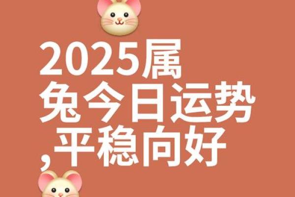 生肖属兔2025年11月出行黄道吉日一览表