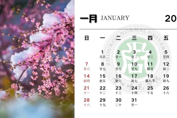 日历2024日历表黄道吉日万年历