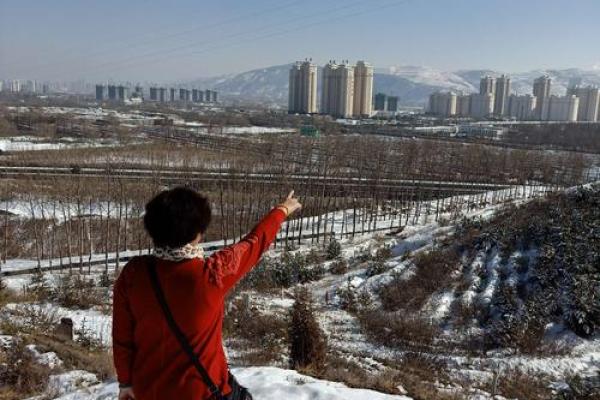 头顶蓝天脚踏地打一生肖谜底解析，小白也能学会