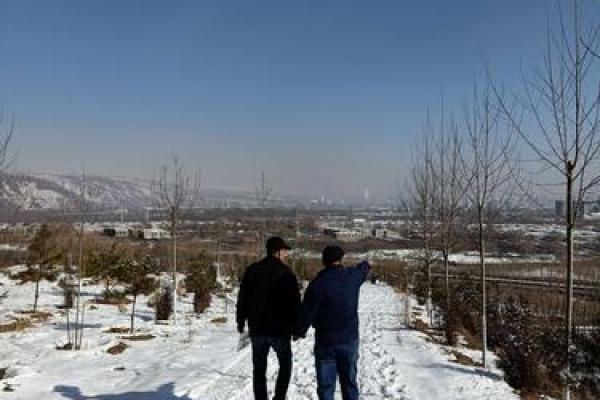 头顶蓝天脚踏地打一生肖谜底解析，小白也能学会