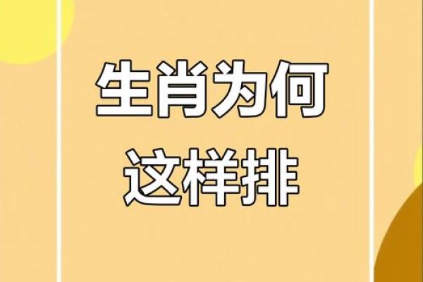 长夜难明对应的生肖动物解析，最新方法分享