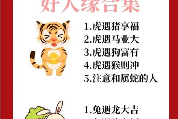 绝不轻饶”打一生肖动物是什么答案及解析,终极指南 绝不轻饶”打一生肖动物是什么答案及解析,终极指南