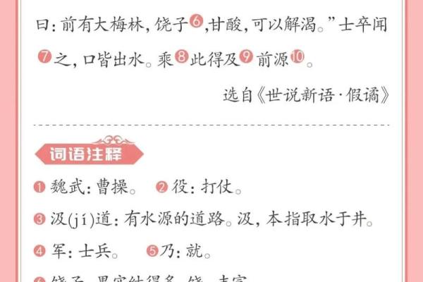 望梅止渴打一生肖正确答案及详细解析,新手必学 望梅止渴打一生肖正确答案及详细解析,新手必学