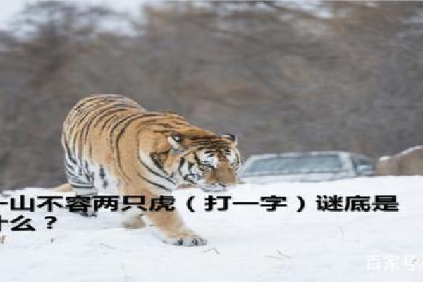 蓬荜生光”打一生肖动物谜底解析,一篇就够了 蓬荜生光”打一生肖动物谜底解析,一篇就够了