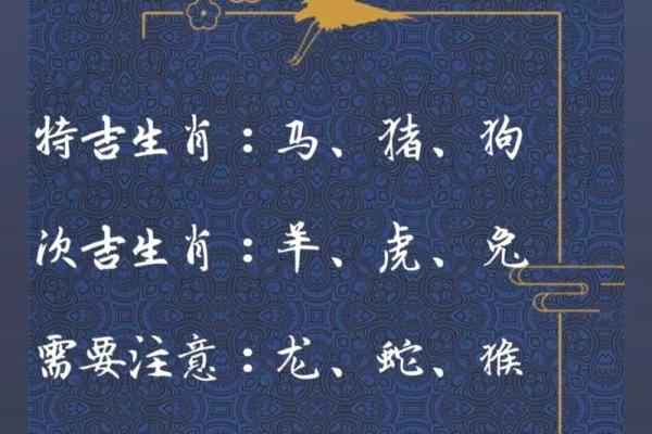 和衣而睡在十二生肖中暗示哪个动物,不看后悔 和衣而睡在十二生肖中暗示哪个动物,不看后悔