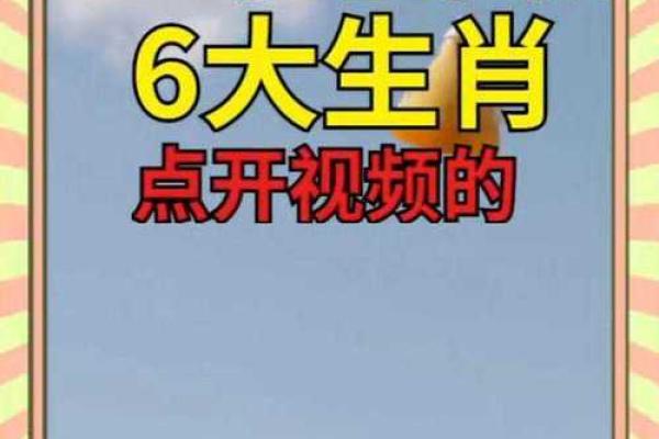年老色衰打一生肖是什么,零氪玩家必备 年老色衰打一生肖是什么,零氪玩家必备
