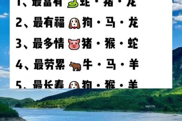 名列前茅”对应的生肖是什么准确答案，小白也能学会