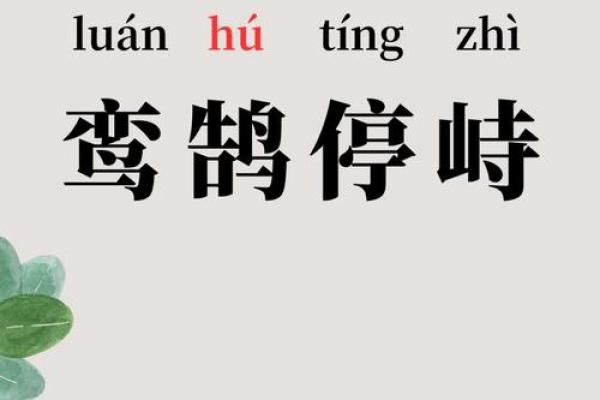 刻鹄不成尚类鹜指的是哪个生肖动物，高手技巧