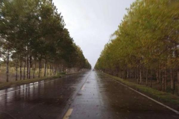 秋雨绵绵打一生肖谜底是什么，全解析