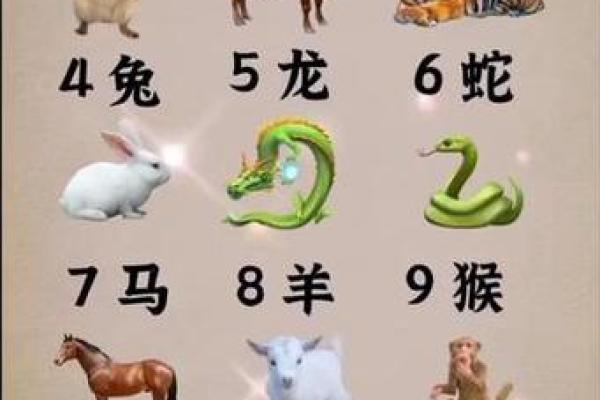 随意一瞥对应的生肖动物是什么，详细教程