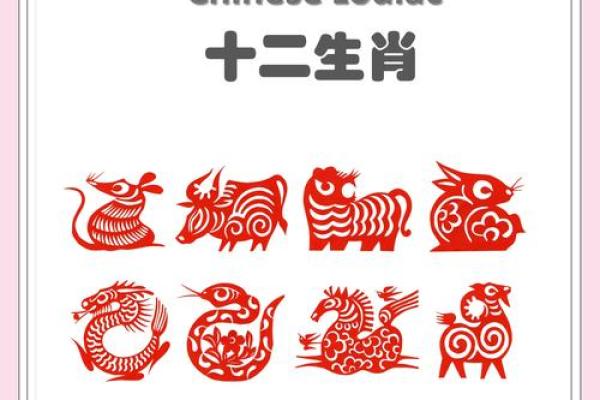 一惊一乍指的是什么生肖动物，十二生肖中哪个最符合，详细教程