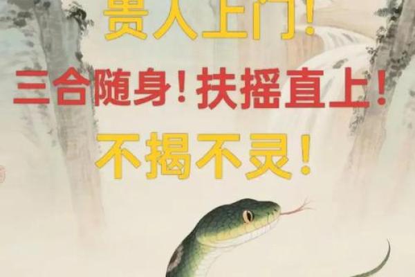 惊蛇入草对应的生肖是什么动物，高手技巧