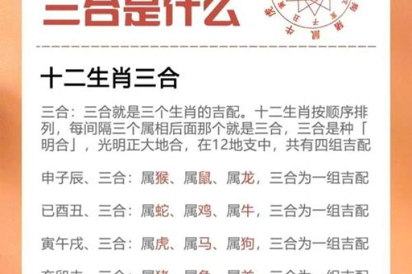 三分文雅风花月”对应的生肖解析及文化寓意详解,全解析 三分文雅风花月”对应的生肖解析及文化寓意详解,全解析