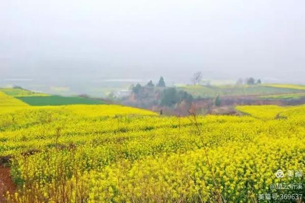 肥田沃地”对应的生肖动物及其寓意解析,详细教程 肥田沃地”对应的生肖动物及其寓意解析,详细教程