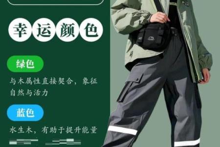 2022年12月21日五行穿衣旺运颜色搭配指南，终极指南
