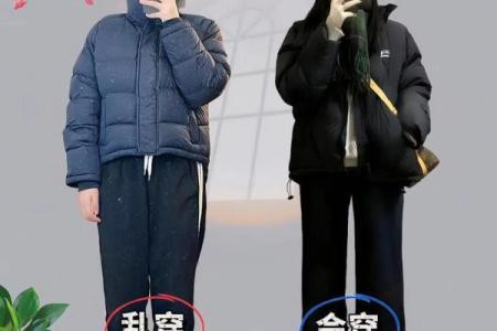 2021年10月19日穿什么颜色衣服旺运势，新手必学